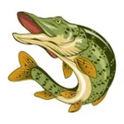DollerHecht