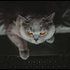 Kati