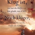 Schneeeule